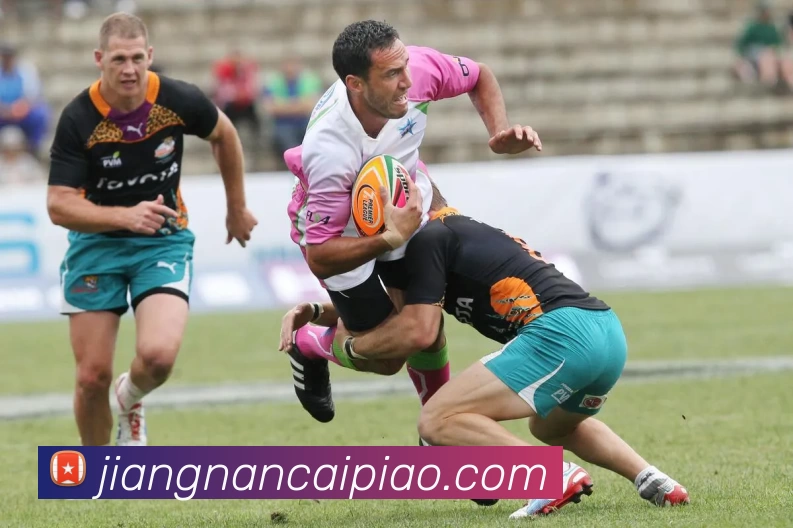 江南彩票平台生态图